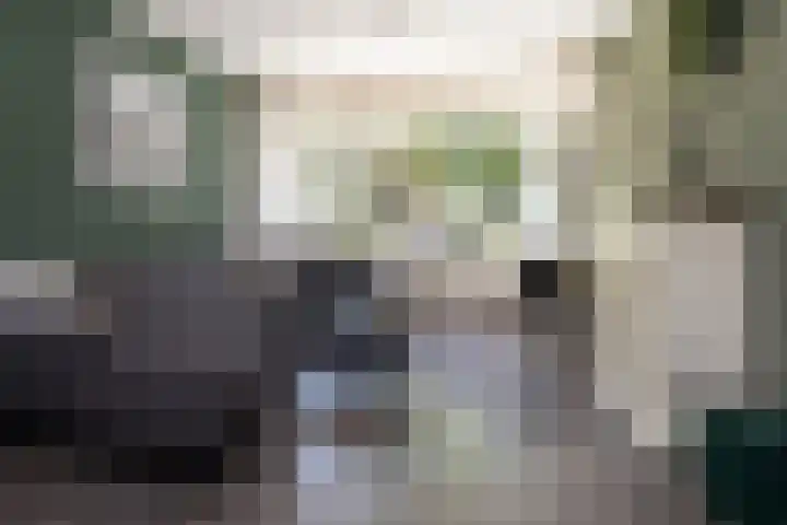 Vlierweg 68 Nunspeet thumbnail 7