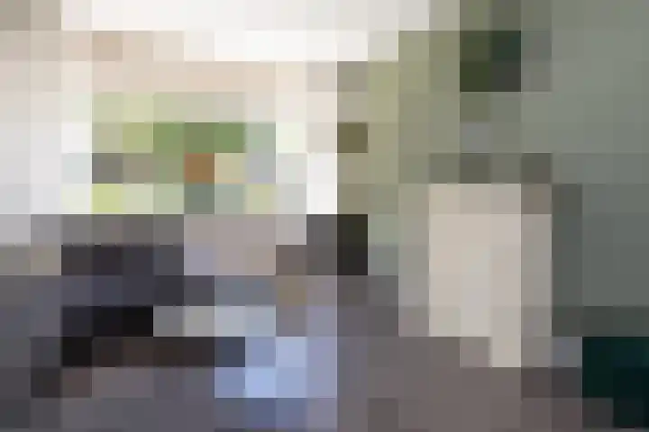 Vlierweg 68 Nunspeet thumbnail 8