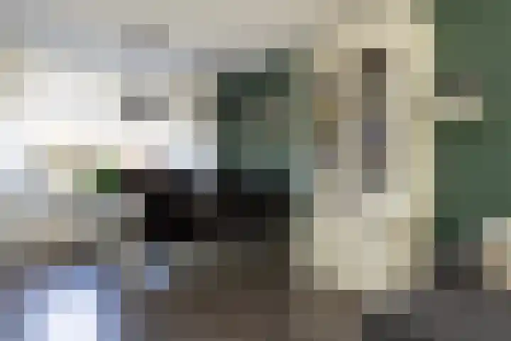 Vlierweg 68 Nunspeet thumbnail 9