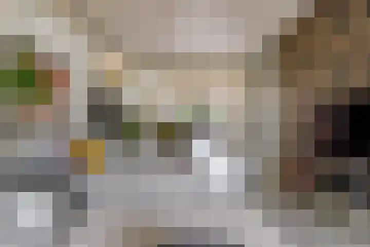 Vlierweg 73 Houten thumbnail 10