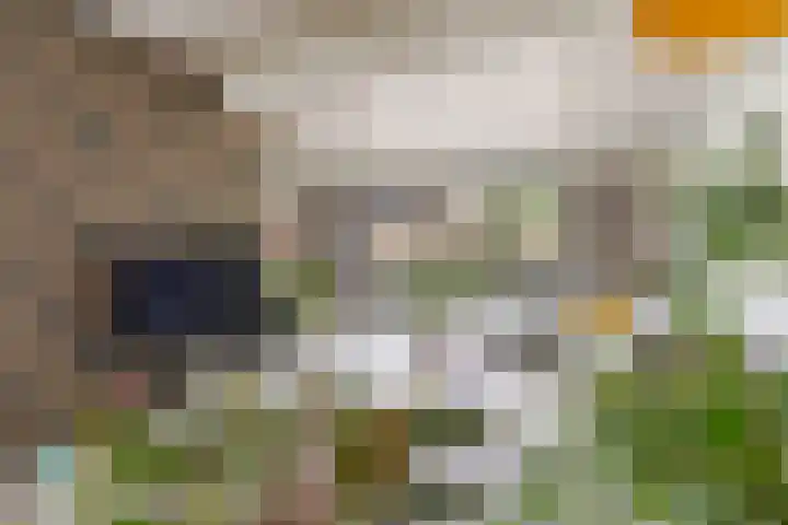 Vlierweg 73 Houten thumbnail 11