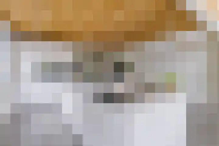 Vlierweg 73 Houten thumbnail 19