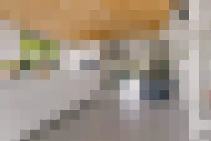 Vlierweg 73 Houten thumbnail 24
