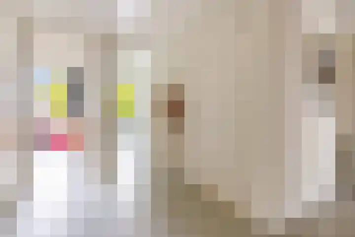 Vlierweg 73 Houten thumbnail 30