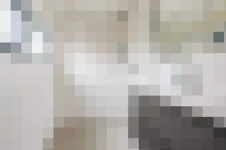 Vlierweg 73 Houten thumbnail 37