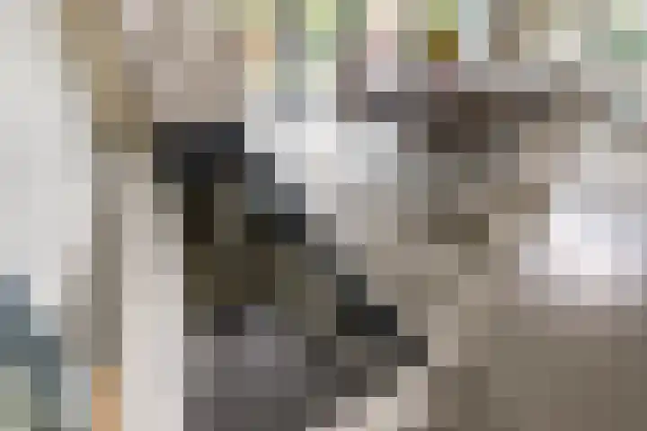 Vlierweg 73 Houten thumbnail 45