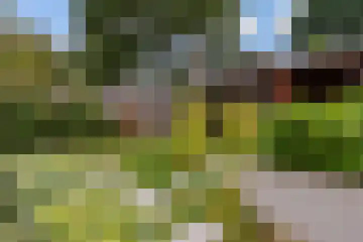 Vlierweg 73 Houten thumbnail 54