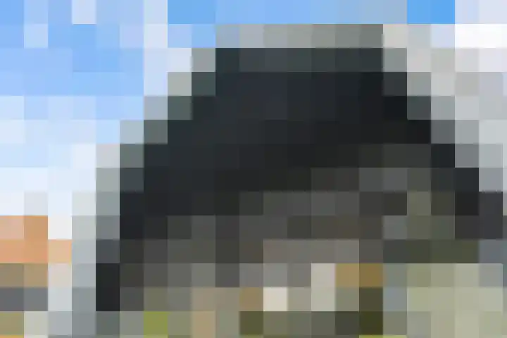 Vlierweg 73 Houten thumbnail 57