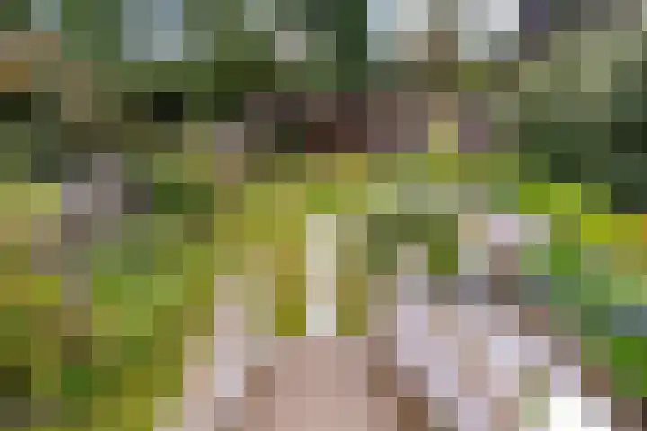 Vlierweg 73 Houten thumbnail 58