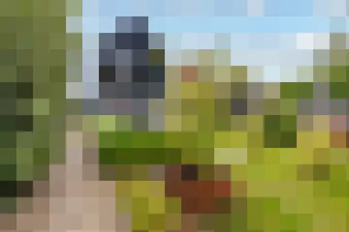 Vlierweg 73 Houten thumbnail 61