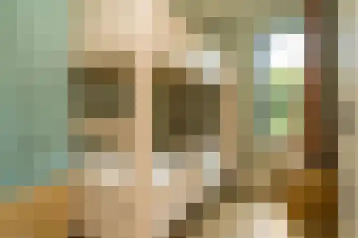 Vlierweg 8 Renesse thumbnail 11