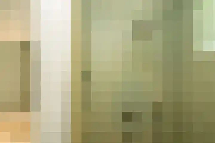 Vlierweg 8 Renesse thumbnail 13