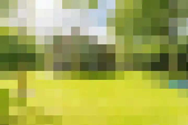 Vlierweg 8 Renesse thumbnail 14