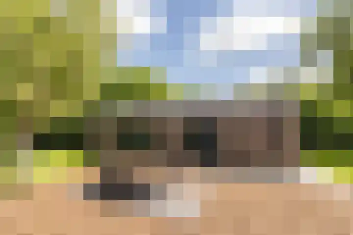 Vlierweg 8 Renesse thumbnail 15
