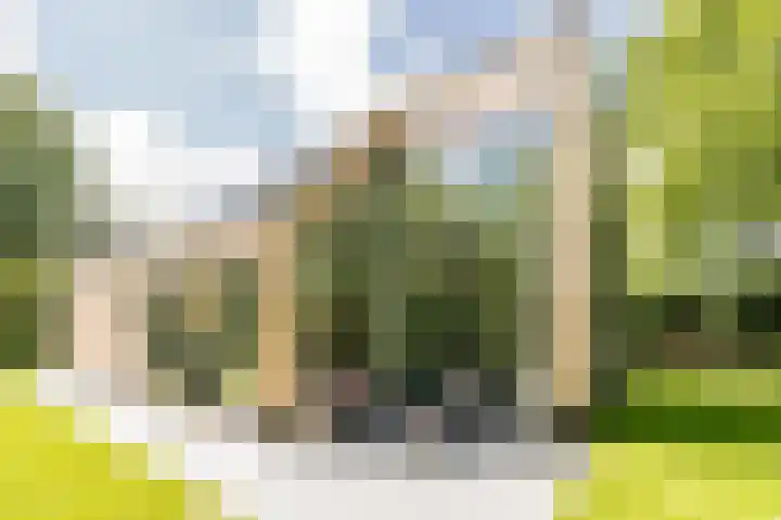 Vlierweg 8 Renesse thumbnail 16