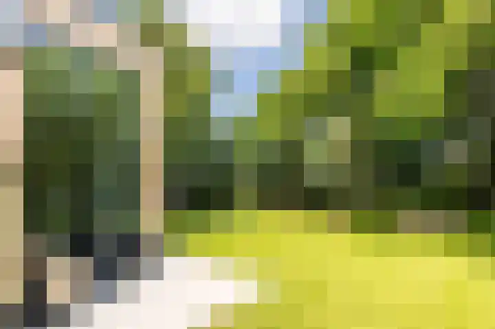 Vlierweg 8 Renesse thumbnail 17
