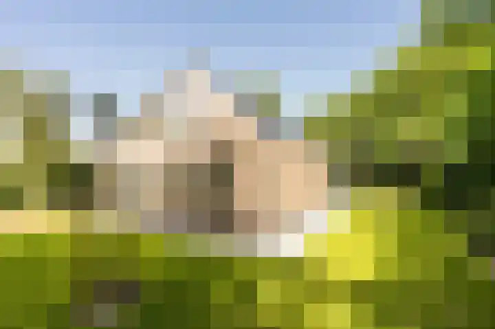 Vlierweg 8 Renesse thumbnail 18