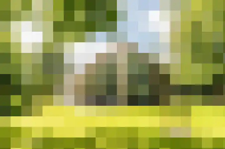 Vlierweg 8 Renesse thumbnail 19