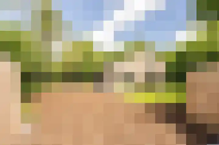 Vlierweg 8 Renesse thumbnail 20
