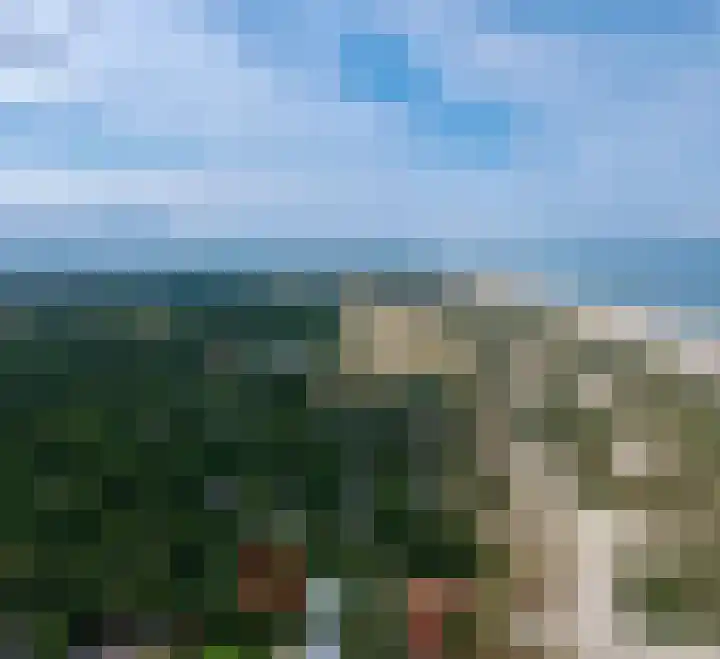 Vlierweg 8 Renesse thumbnail 21