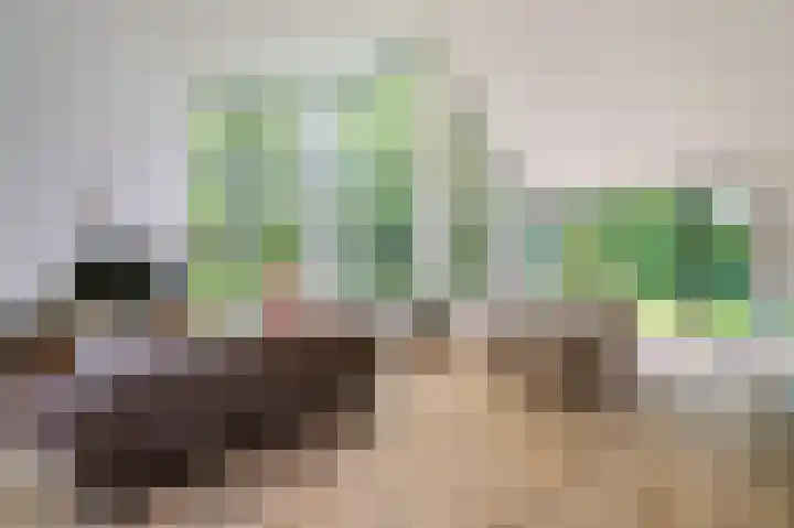 Vlierweg 8 Renesse thumbnail 4