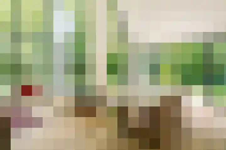 Vlierweg 8 Renesse thumbnail 5
