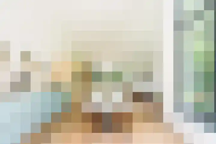 Vlierweg 8 Renesse thumbnail 7