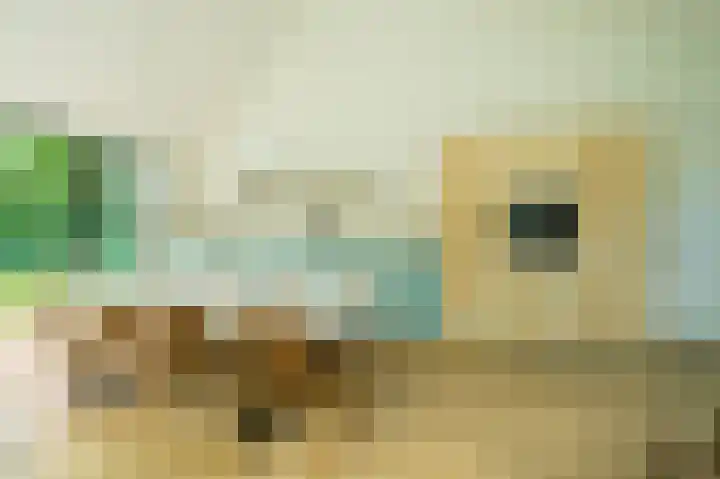 Vlierweg 8 Renesse thumbnail 8