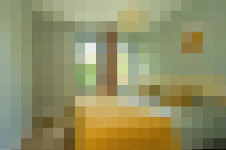 Vlierweg 8 Renesse thumbnail 9