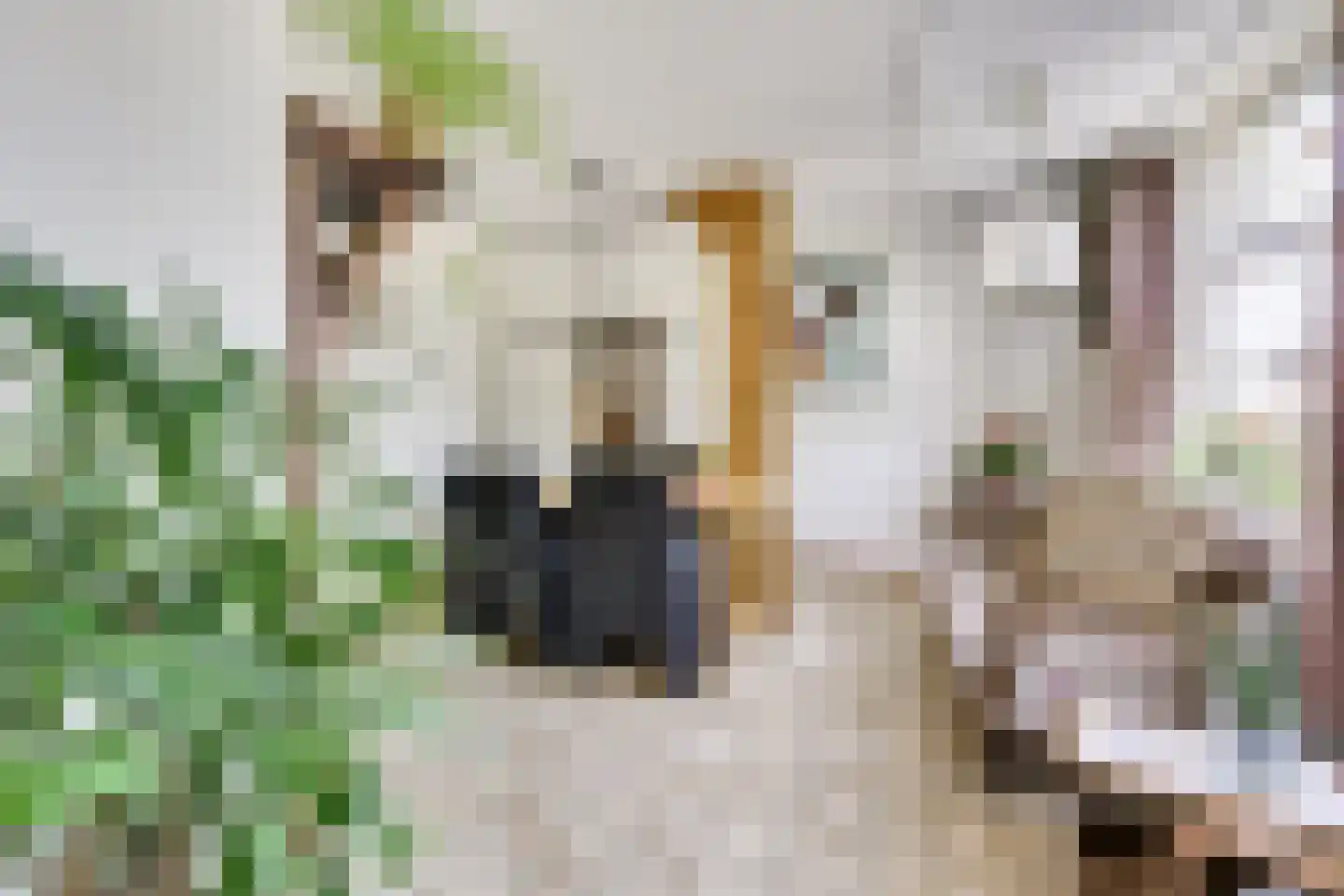 Vlierweg 91 Houten thumbnail 12
