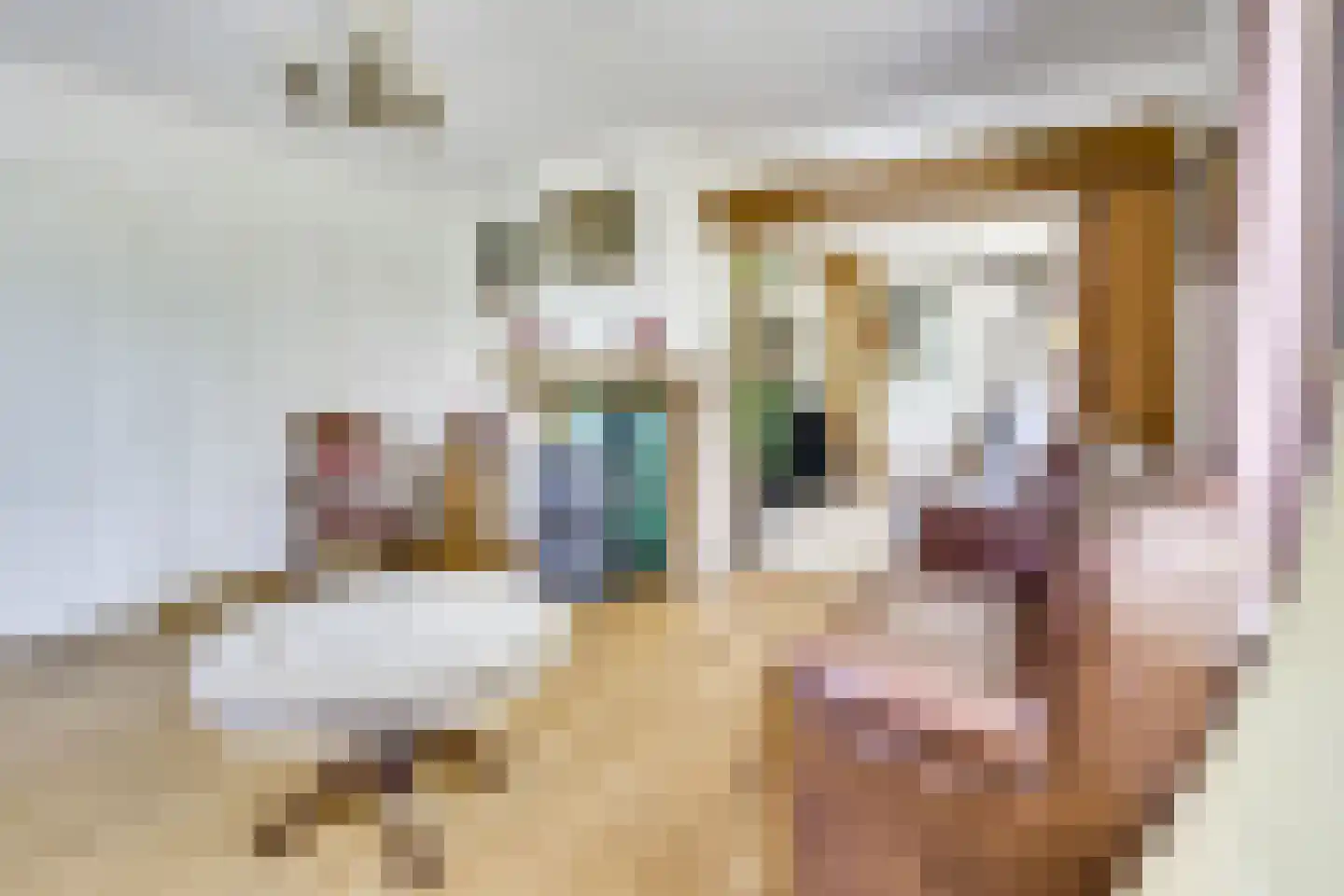 Vlierweg 91 Houten thumbnail 15