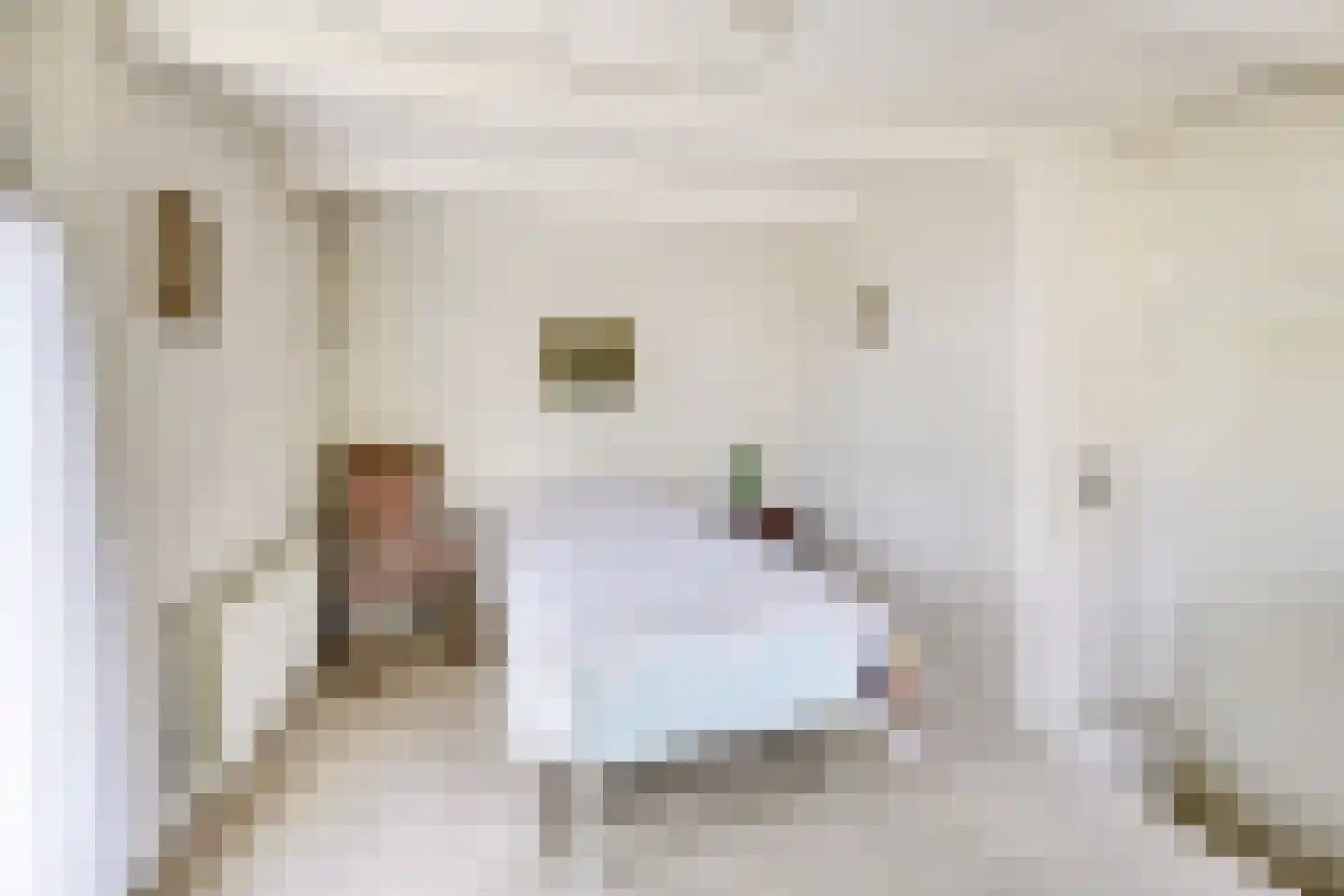 Vlierweg 91 Houten thumbnail 18