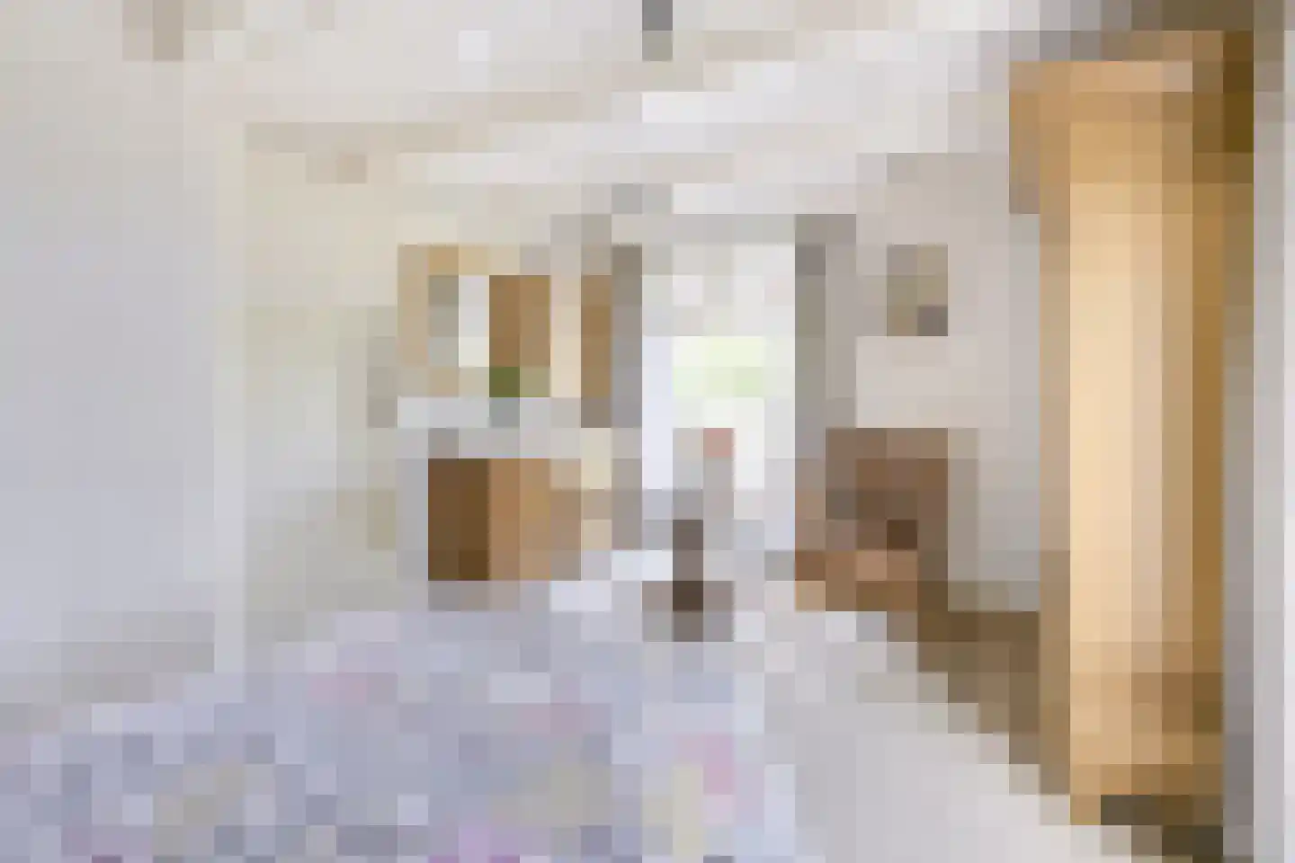 Vlierweg 91 Houten thumbnail 19