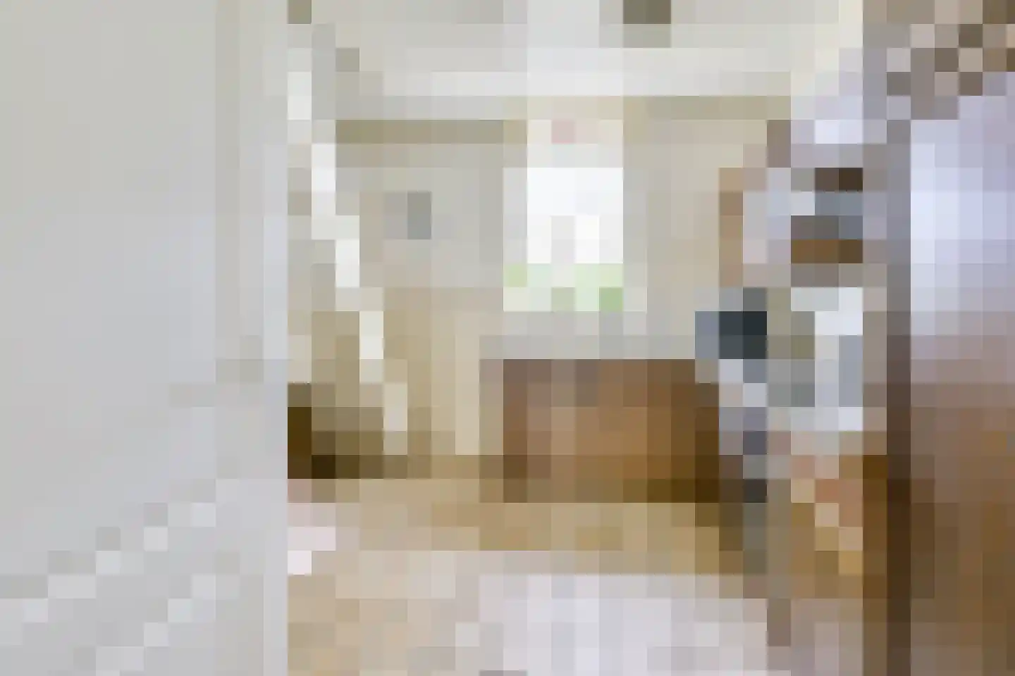 Vlierweg 91 Houten thumbnail 20