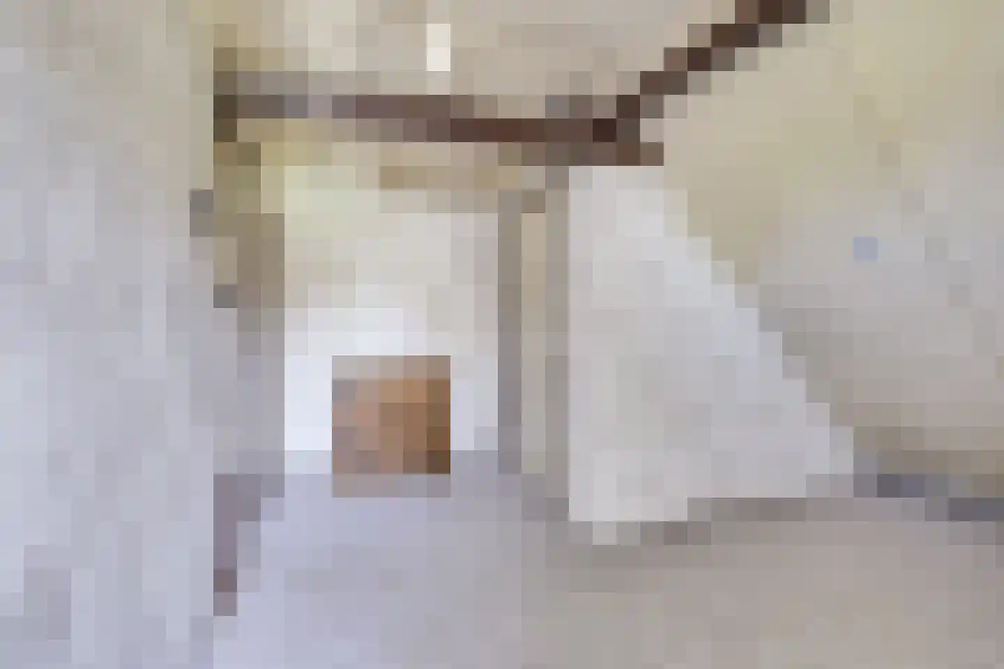 Vlierweg 91 Houten thumbnail 33