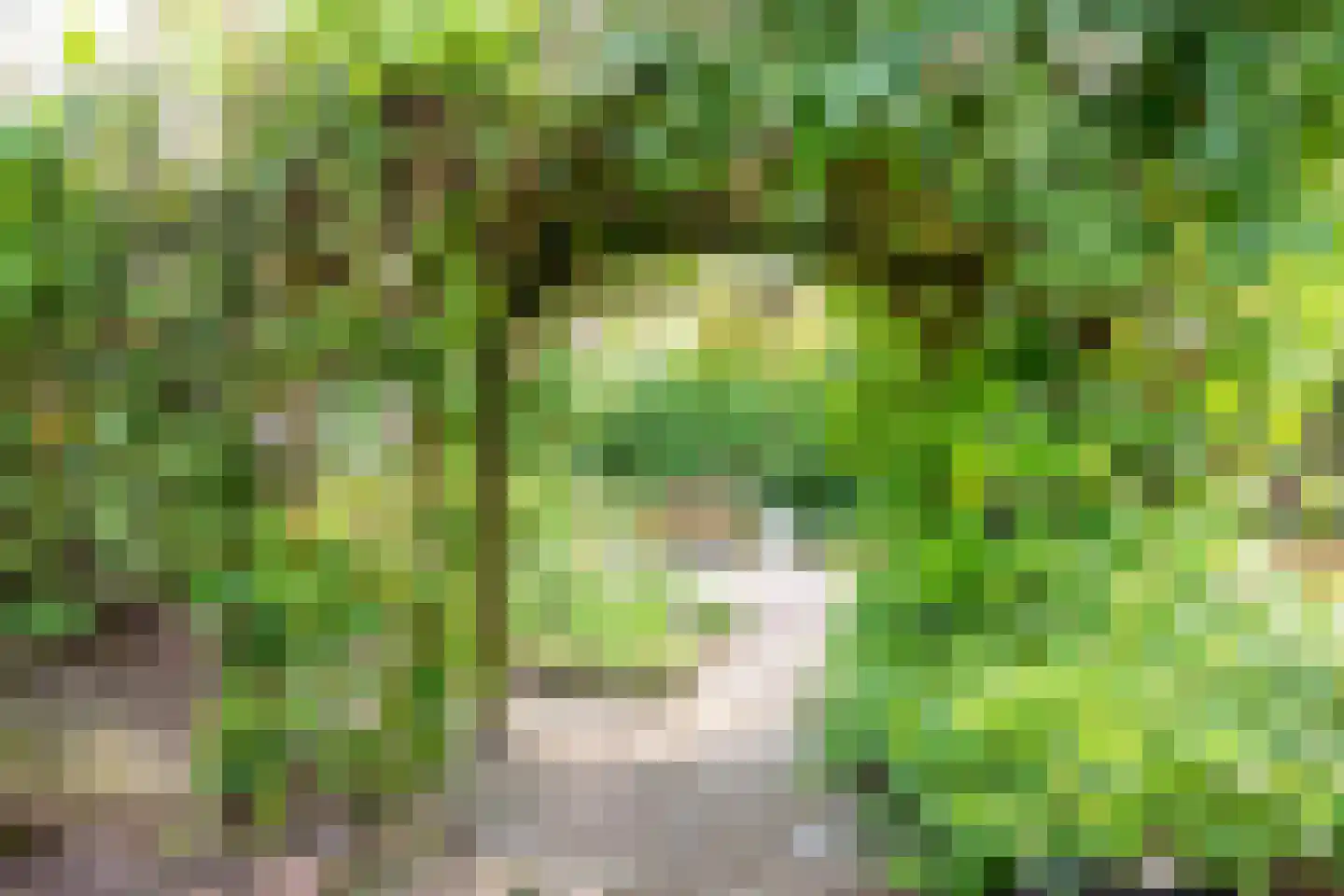 Vlierweg 91 Houten thumbnail 41