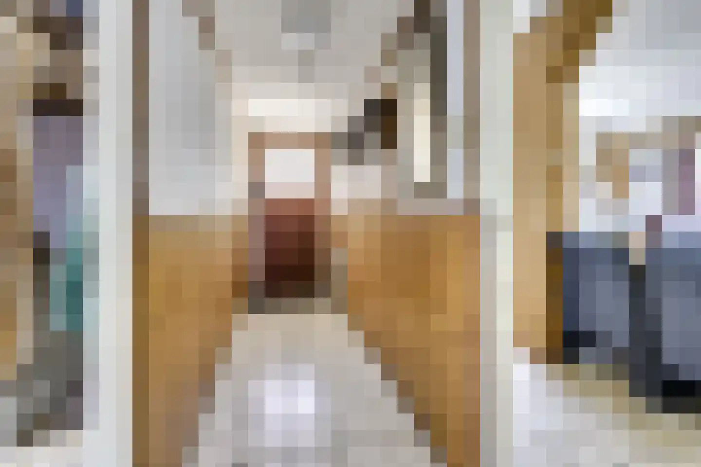 Vlierweg 91 Houten thumbnail 9