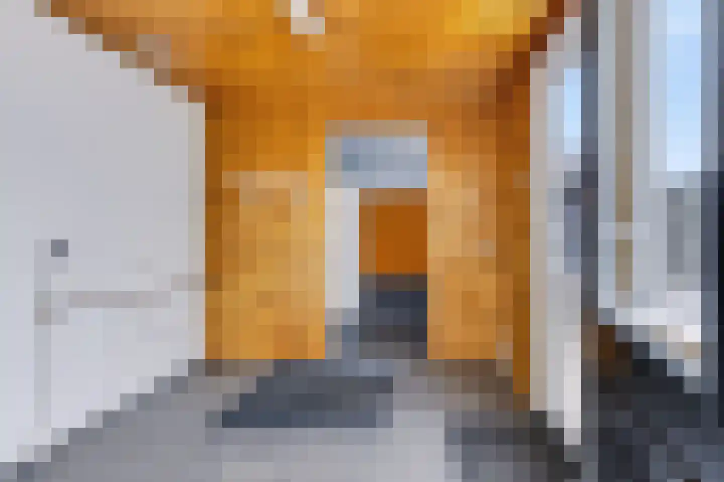 Vlierweg 96 Nunspeet thumbnail 15