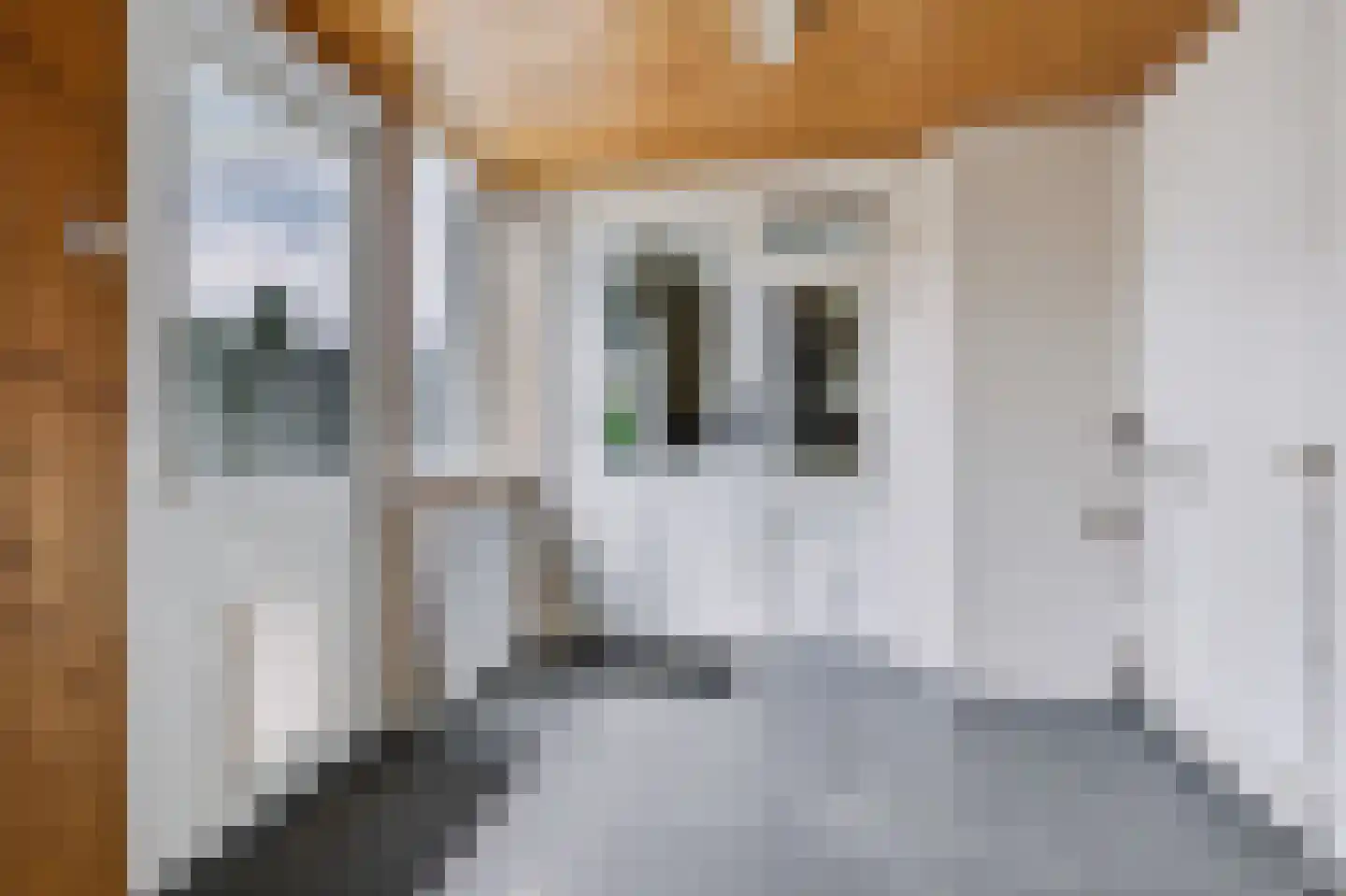 Vlierweg 96 Nunspeet thumbnail 16