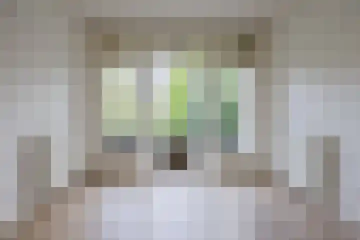 Vliesridderstraat 11 A 02 Rotterdam thumbnail 7