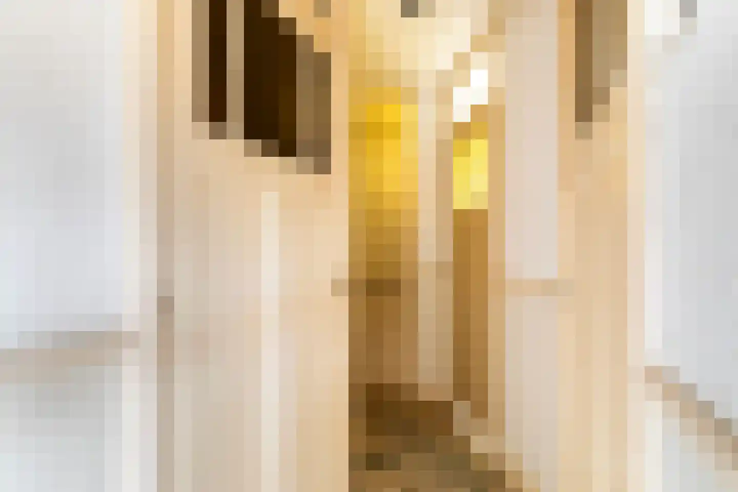 Vliesridderstraat 7 A 01 Rotterdam thumbnail 27