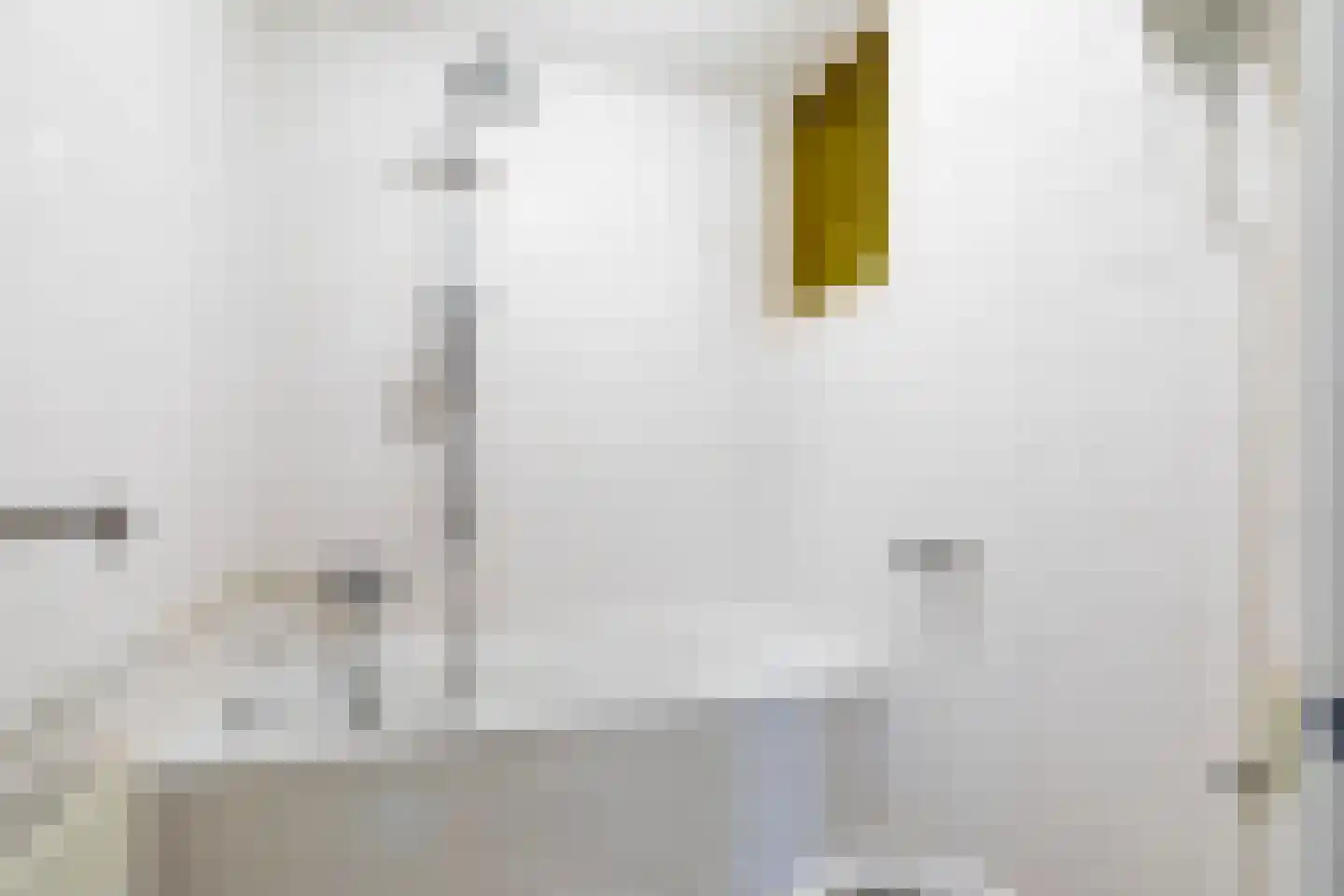 Vliesridderstraat 7 A 01 Rotterdam thumbnail 33