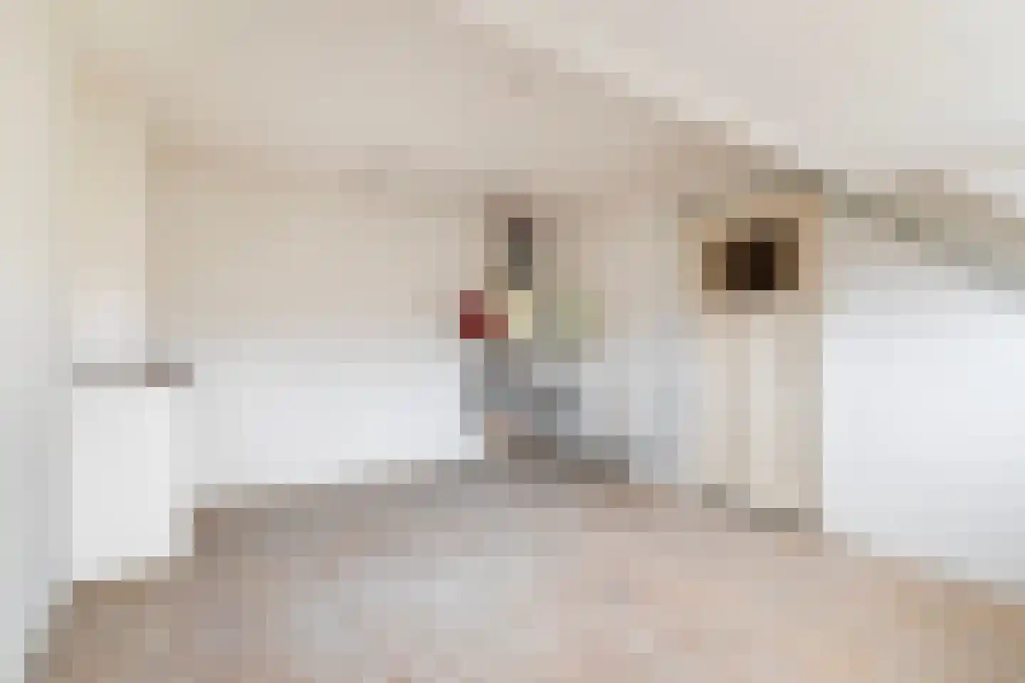Vliesridderstraat 7 A 01 Rotterdam thumbnail 38