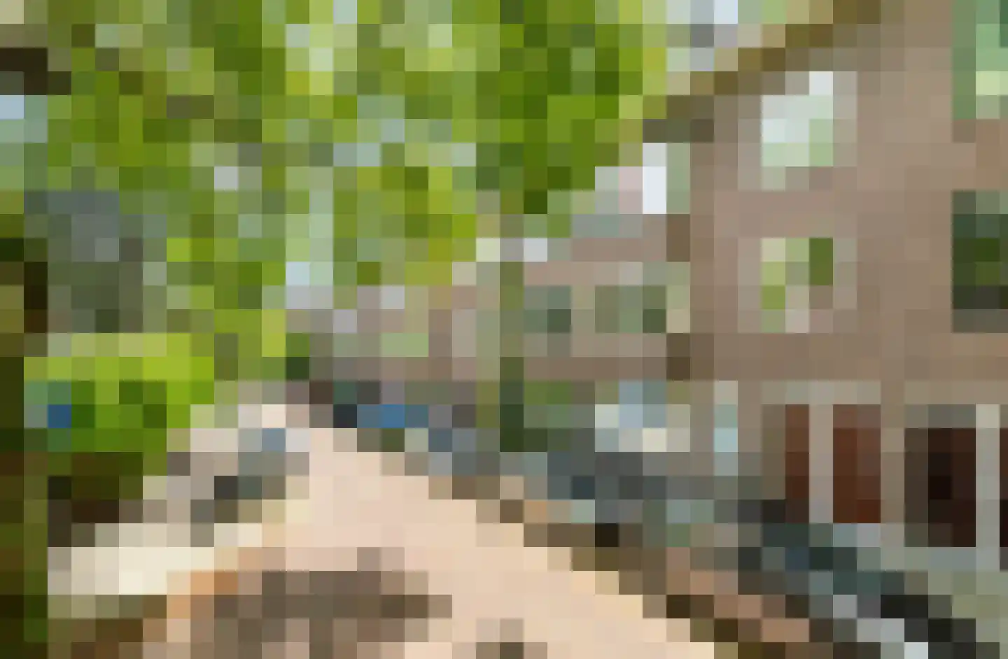 Vliesridderstraat 7 A 02 Rotterdam thumbnail 5