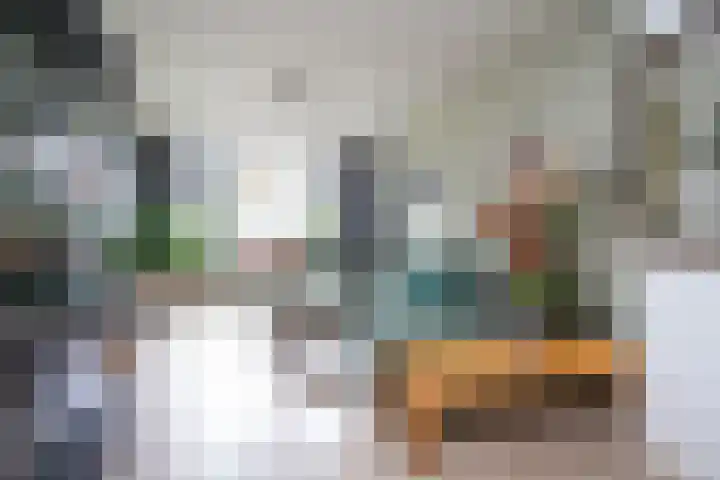 Vliesridderstraat 9 B 02 Rotterdam thumbnail 12