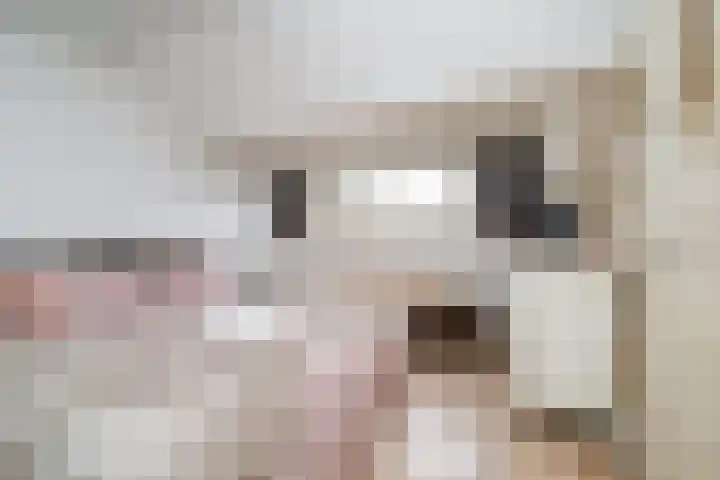 Vliesridderstraat 9 B 02 Rotterdam thumbnail 14