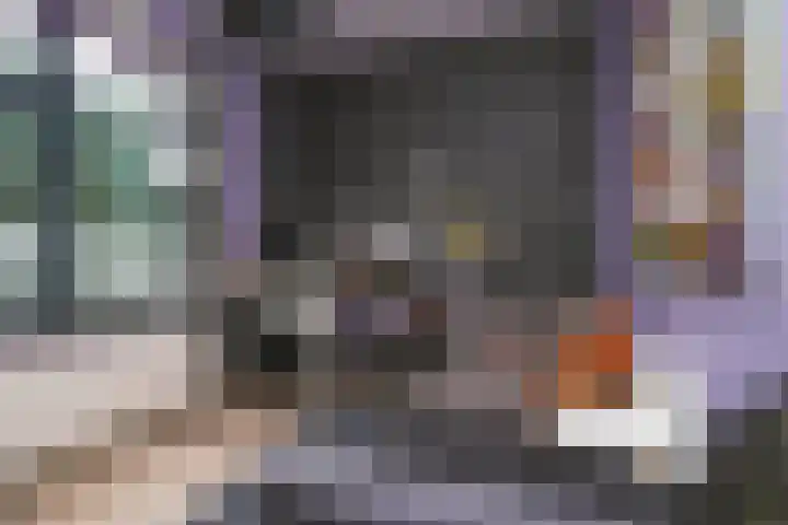Vliesridderstraat 9 B 02 Rotterdam thumbnail 18