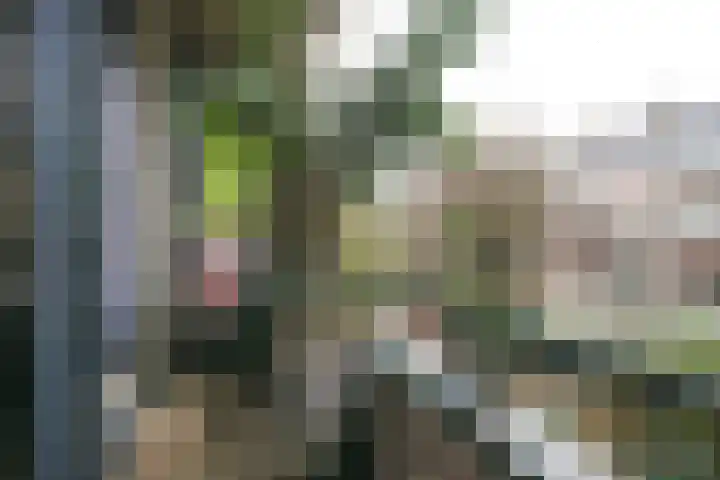 Vliesridderstraat 9 B 02 Rotterdam thumbnail 5