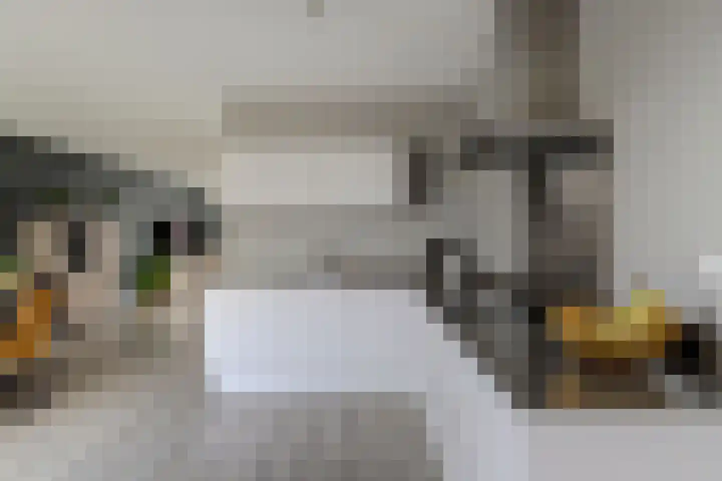 Vliestroom 10 Harlingen thumbnail 13