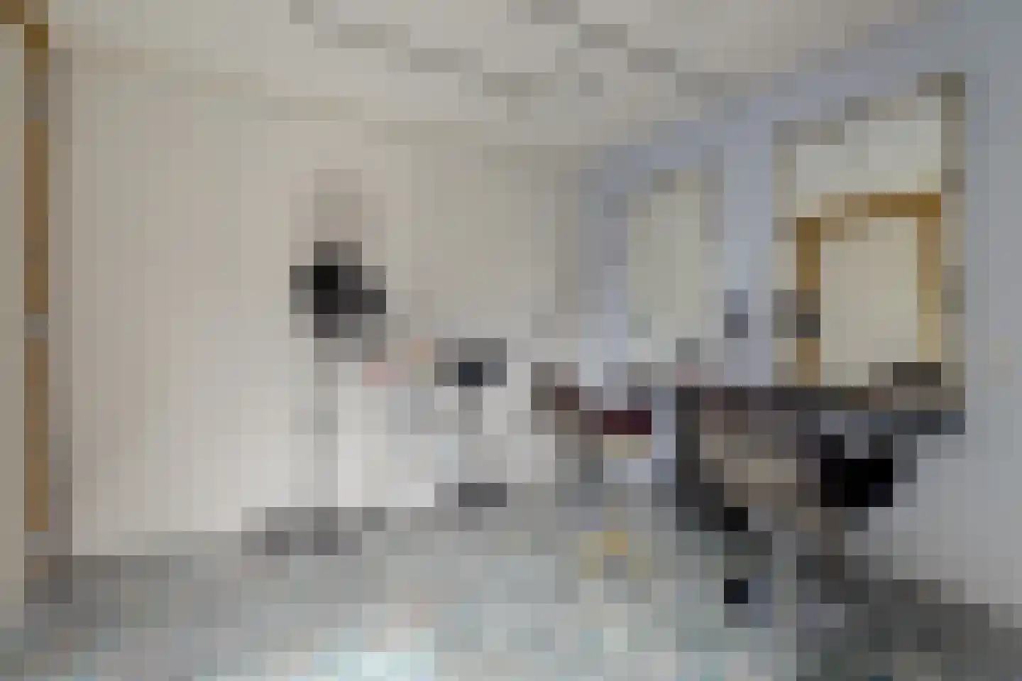 Vliestroom 10 Harlingen thumbnail 16